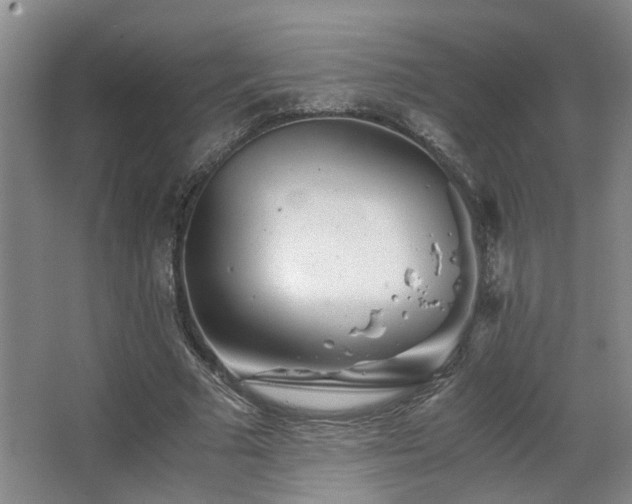 X0000063500681200601201413