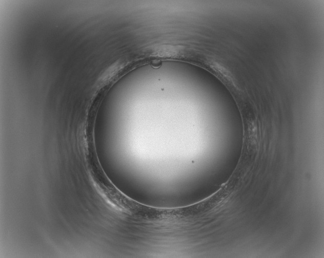 X0000063500682200601201413