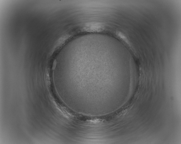 X0000063500688200601201413