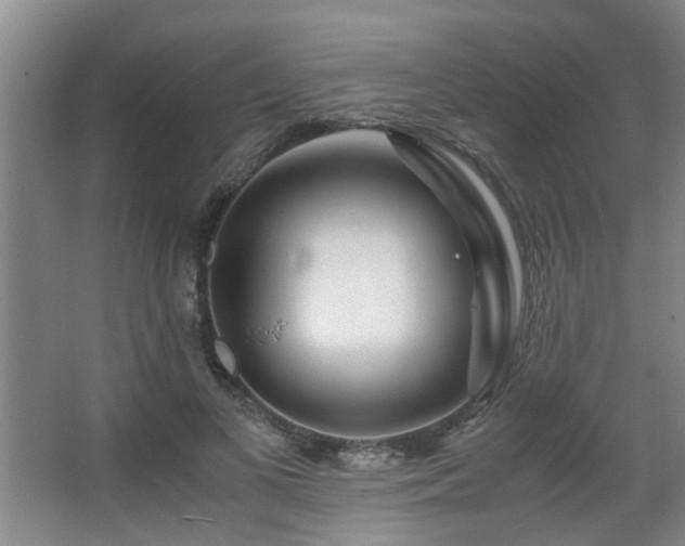 X0000063500693200601201413