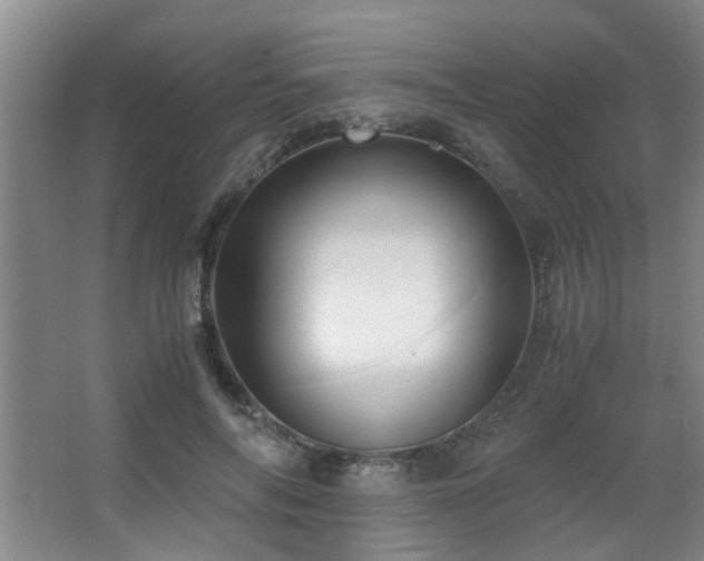 X0000063500694200601201413