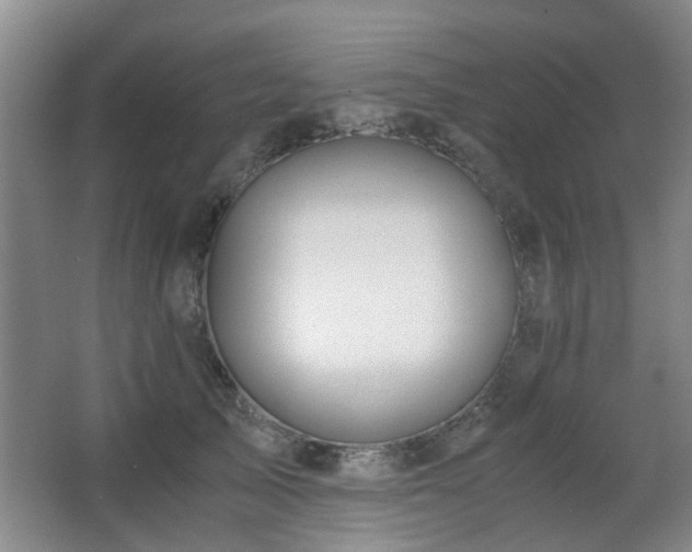 X0000063500705200601201413
