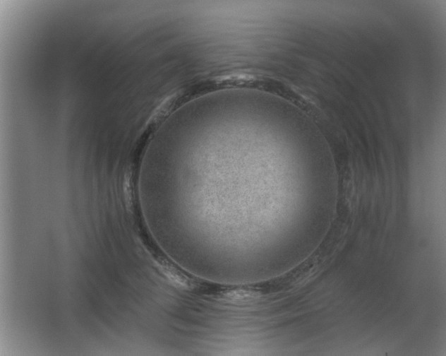 X0000063500708200601201413