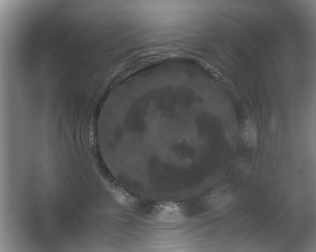 X0000063500715200601201413