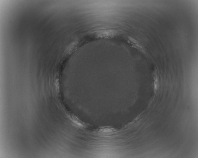 X0000063500716200601201412