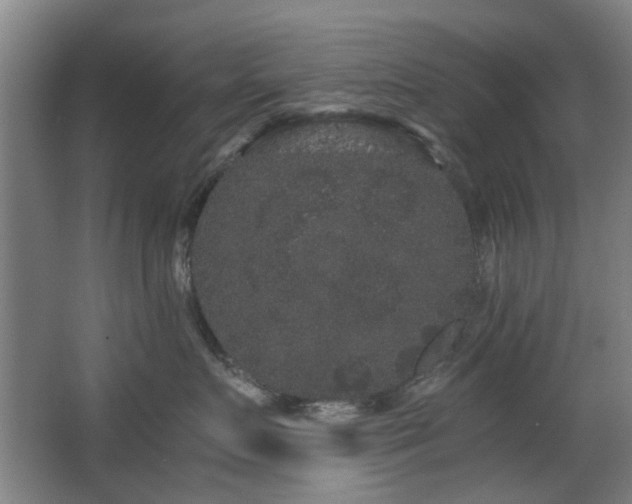 X0000063500719200601201412