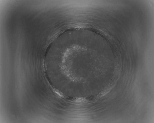 X0000063500720200601201412