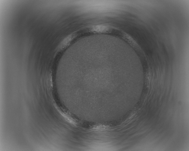 X0000063500734200601201412