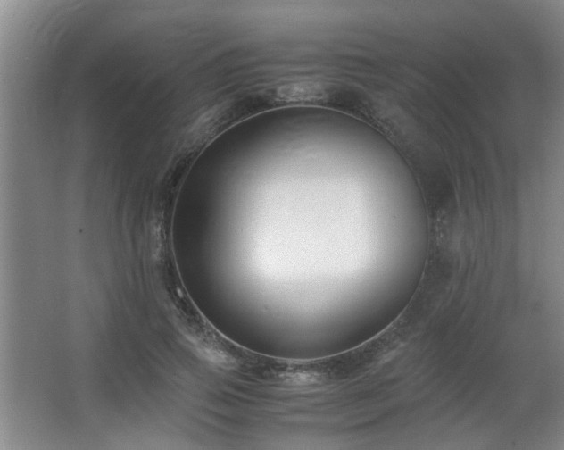 X0000063500741200601201412