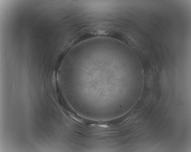 X0000063500747200601201412