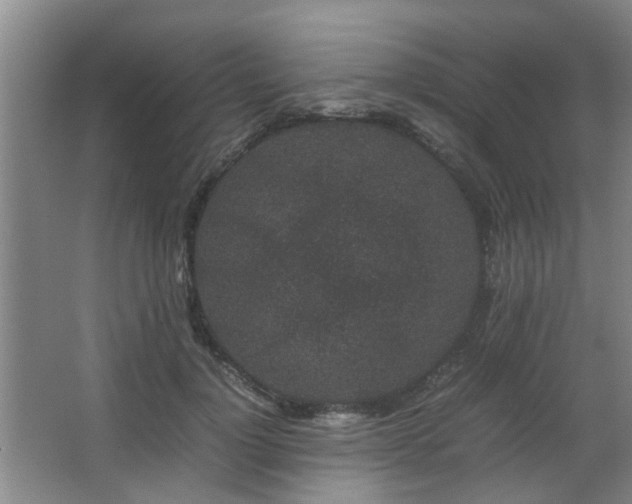 X0000063500748200601201412