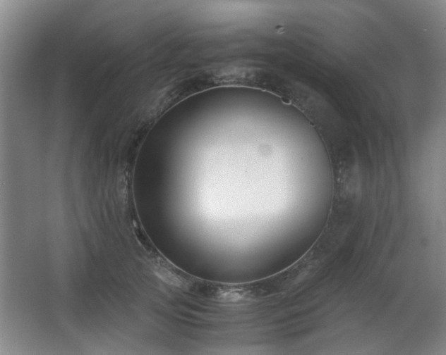 X0000063500753200601201412