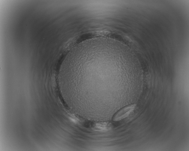 X0000063500757200601201412