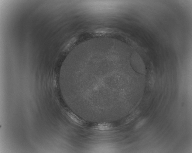 X0000063500758200601201412