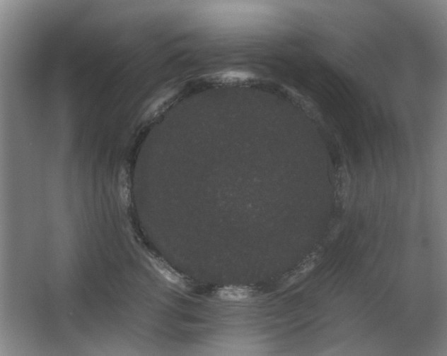 X0000063500762200601201412