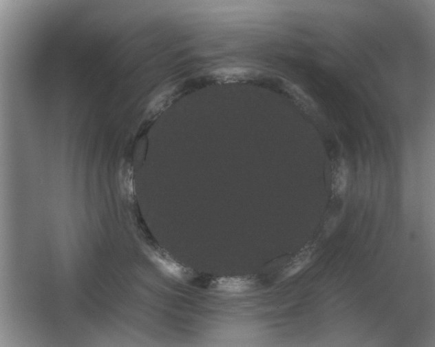 X0000063500766200601201412
