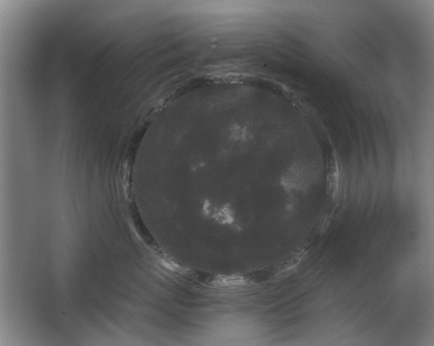 X0000063500767200601201412