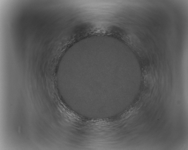 X0000063500769200601201412