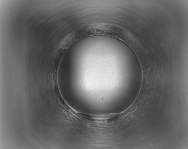 X0000063500774200601201412