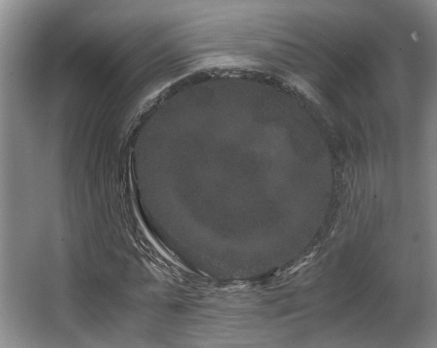 X0000063500775200601201411