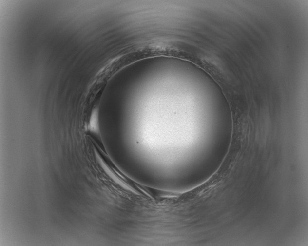 X0000063500776200601201411