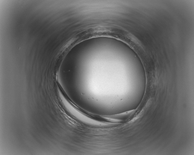X0000063500777200601201411