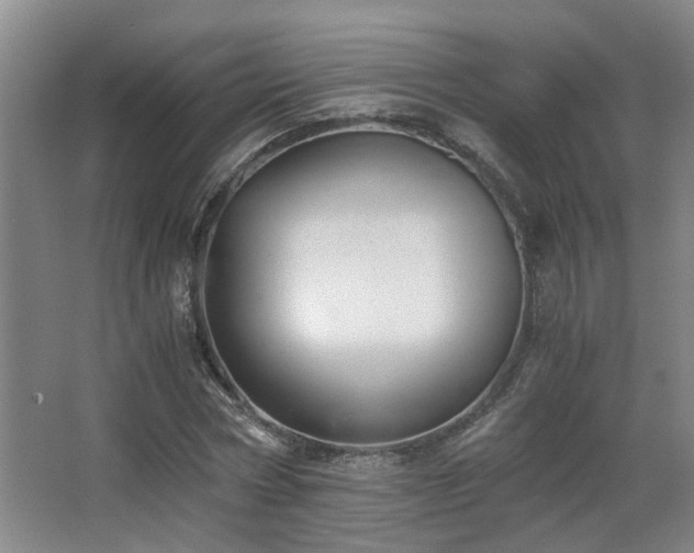 X0000063500778200601201411