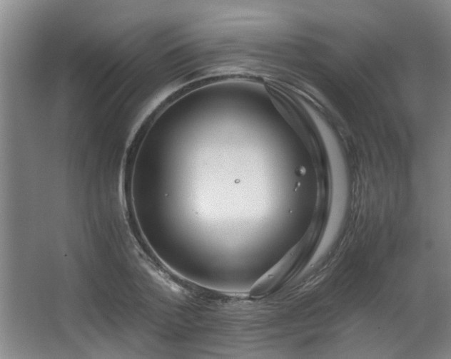 X0000063500788200601201411