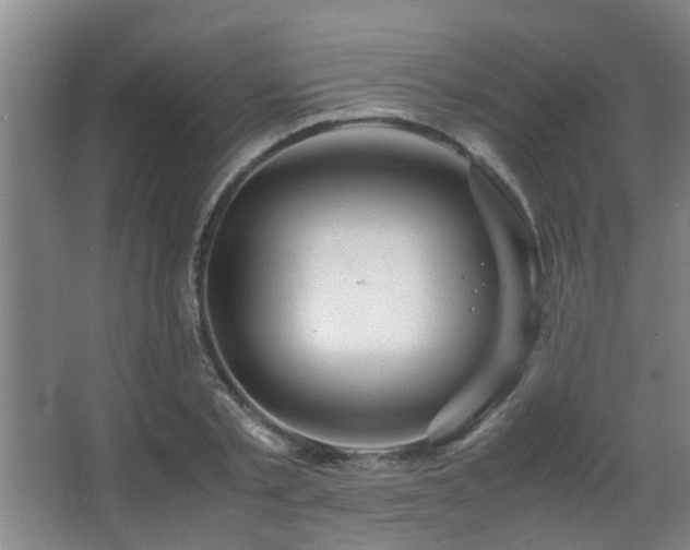 X0000063500789200601201411