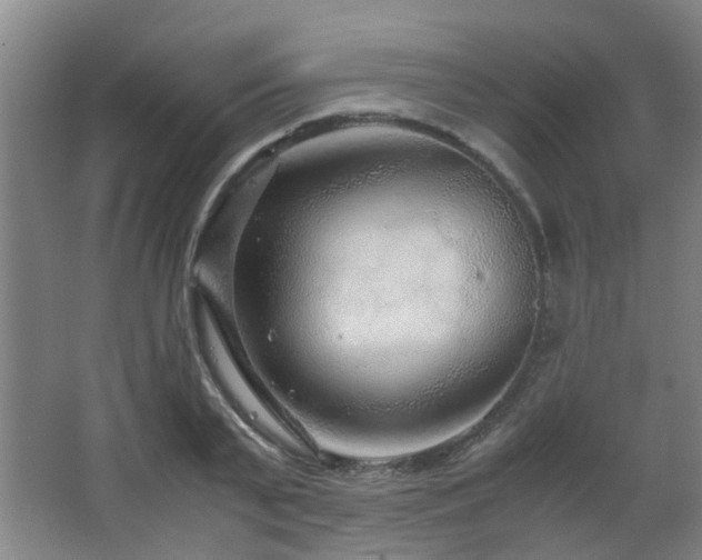 X0000063500791200601201411