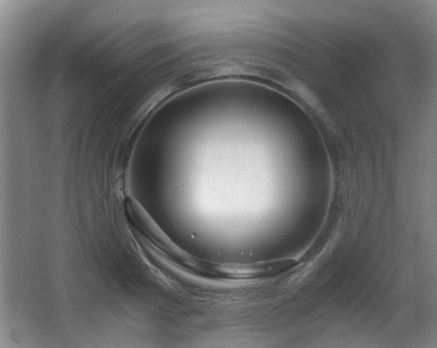 X0000063500793200601201411