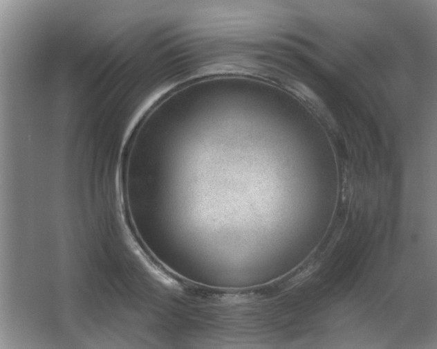 X0000063500796200601201411