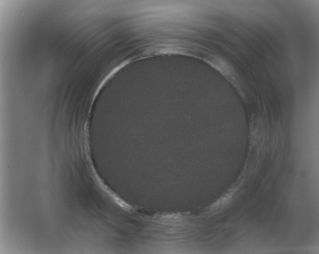 X0000063500798200601201411