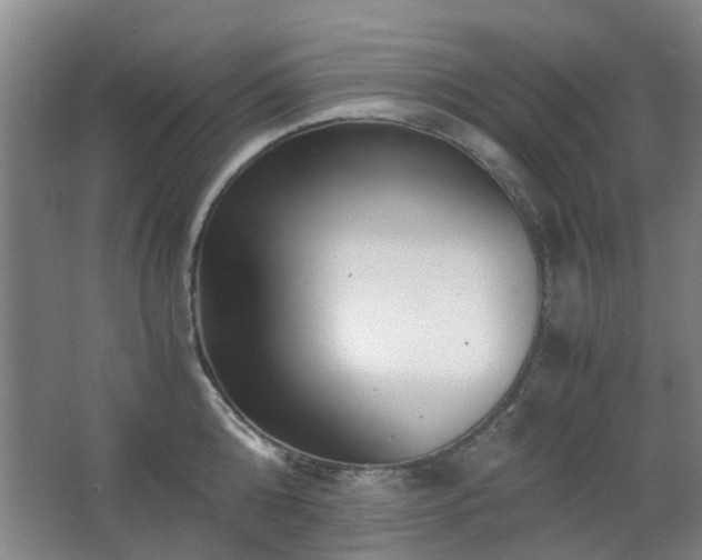 X0000063500808200601201411