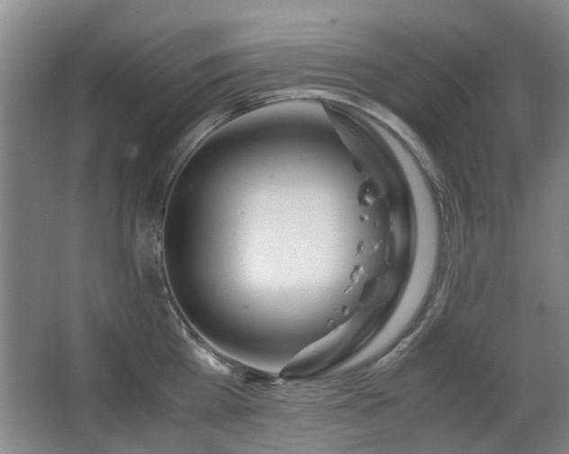 X0000063500809200601201411