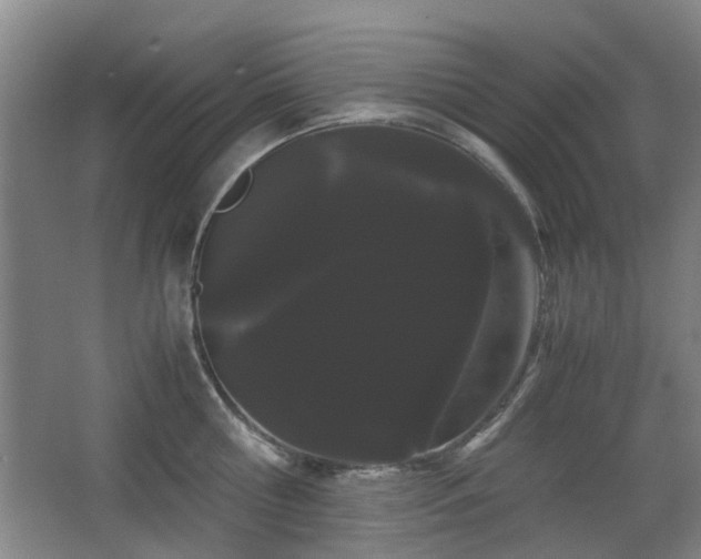 X0000063500810200601201411