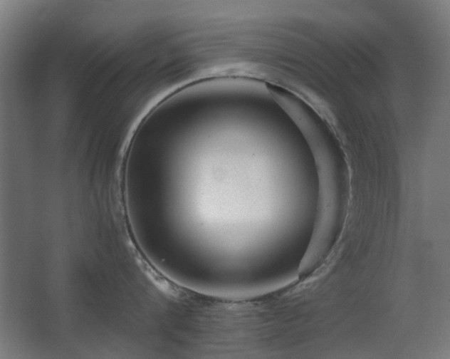 X0000063500816200601201411