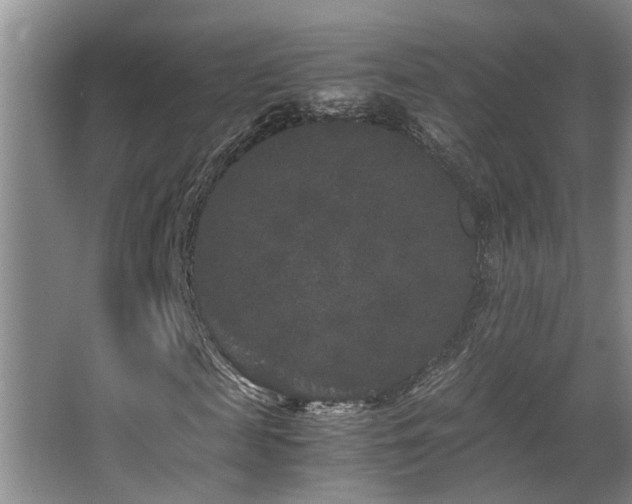 X0000063500817200601201410