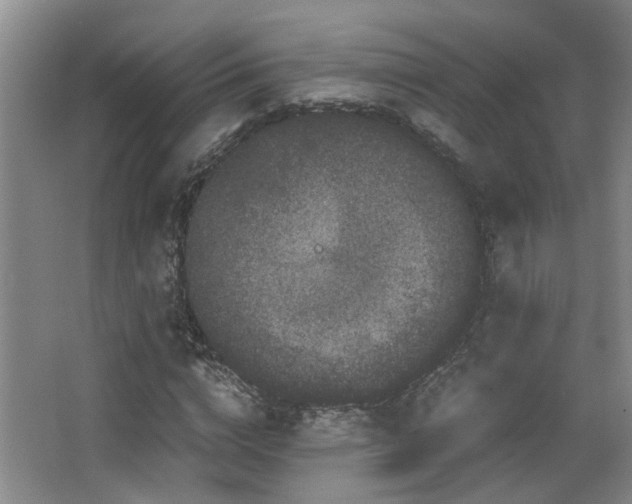 X0000063500824200601201410