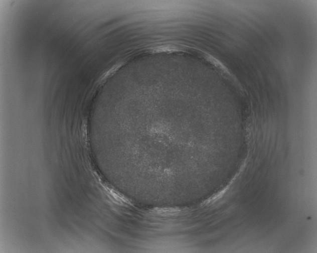 X0000063500825200601201410