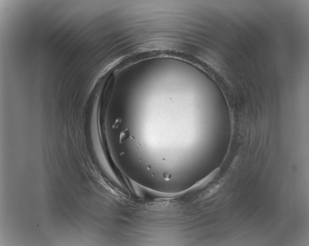 X0000063500826200601201410