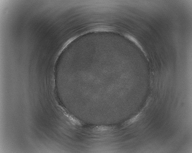 X0000063500829200601201410