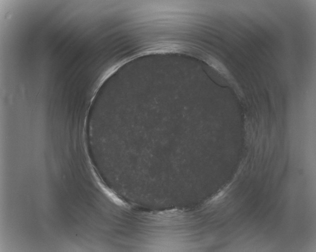 X0000063500842200601201410