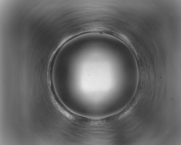 X0000063500843200601201410