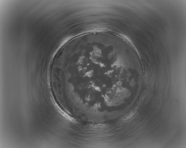 X0000063500851200601201411