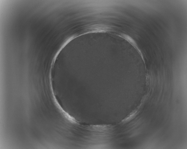 X0000063500859200601201411