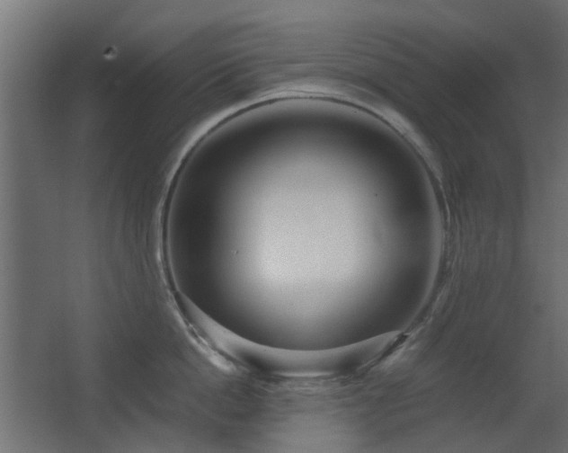 X0000063500862200601201411