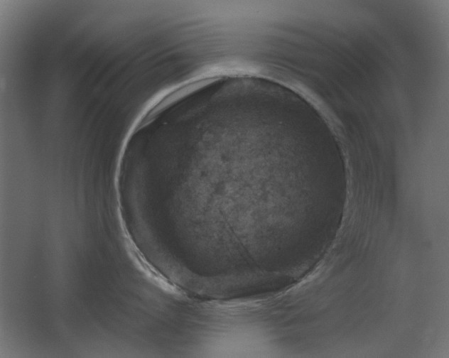 X0000063500864200601201411