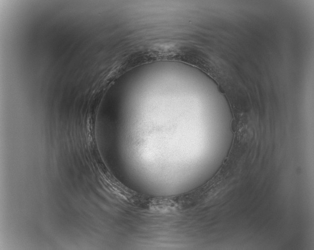 X0000063500866200601201410