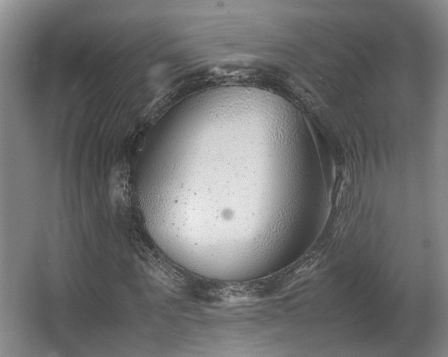 X0000063500867200601201410